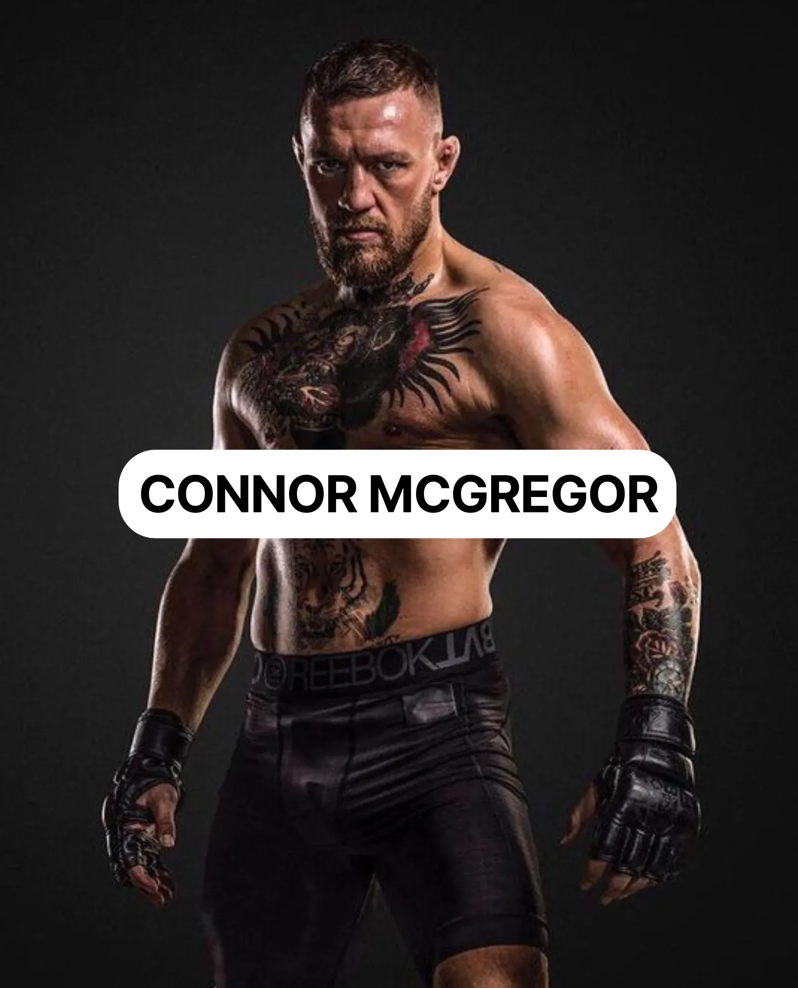 Los negocios de Conor McGregor, la estrella más rentable de las artes marciales mixtas
